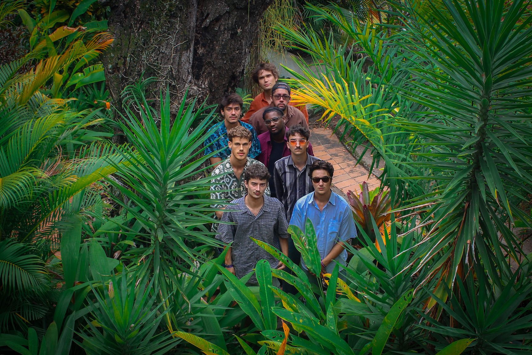 sapocaya jungle @manon spanoudis copie